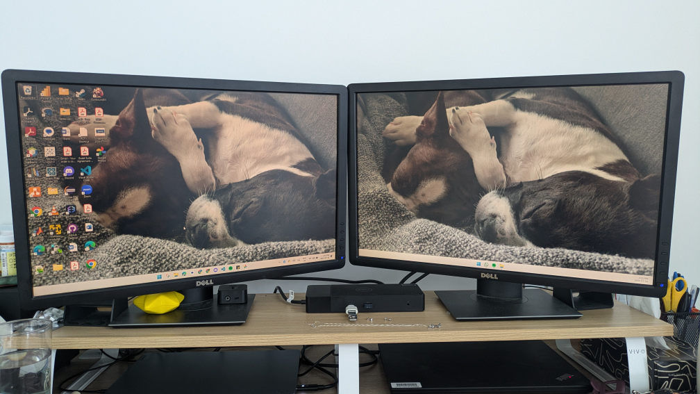 Two 22" Dell Monitor with Height and Tilt Adjustable Stands thumbnail