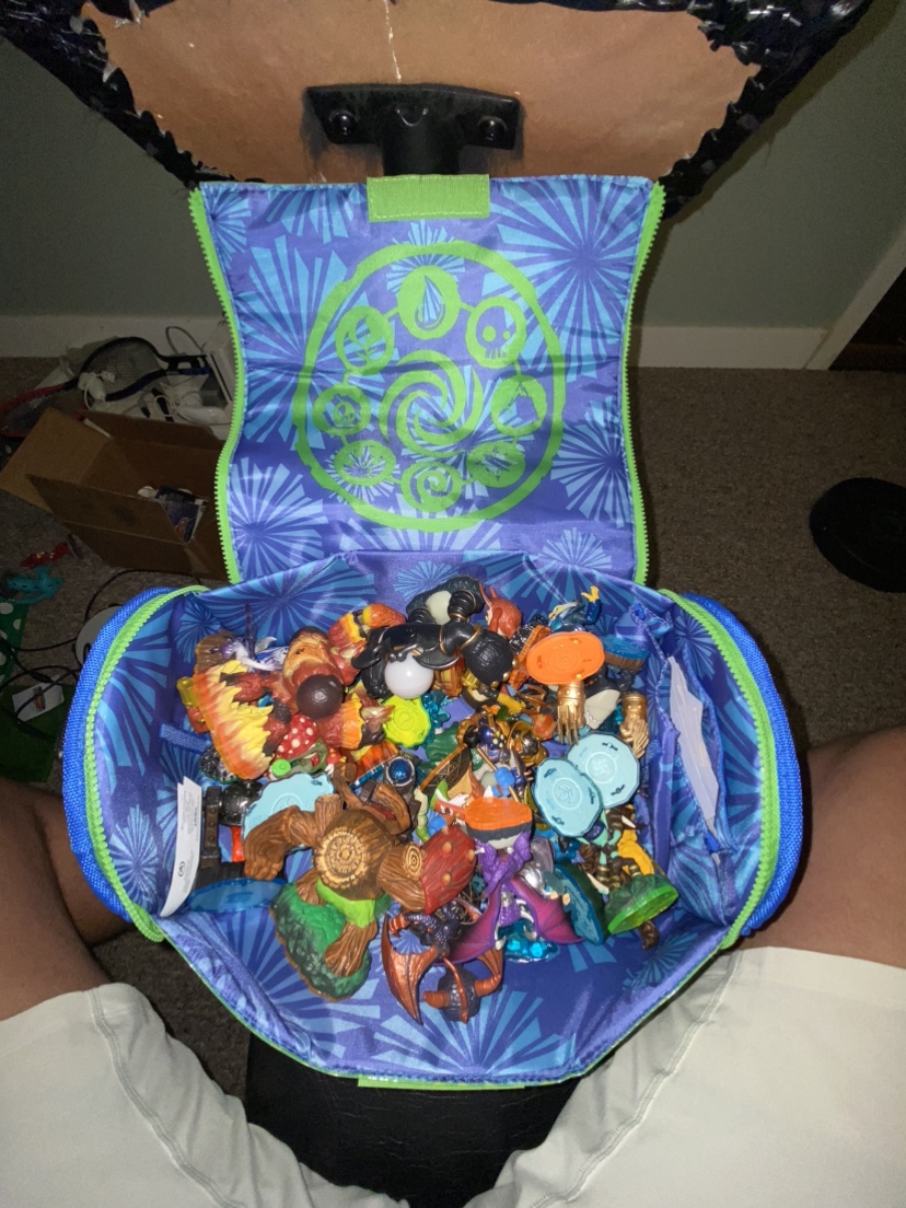 Skylanders Swap Force Carrying Case