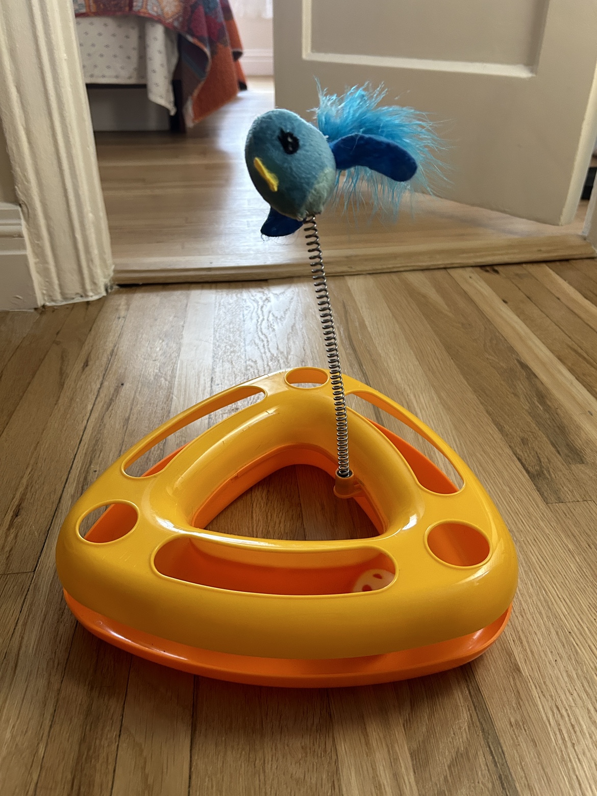 Cat Toy