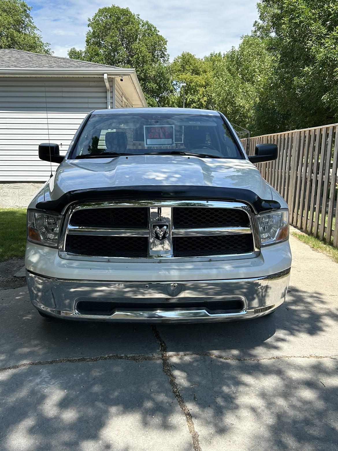 2009 Dodge Ram - photo 4
