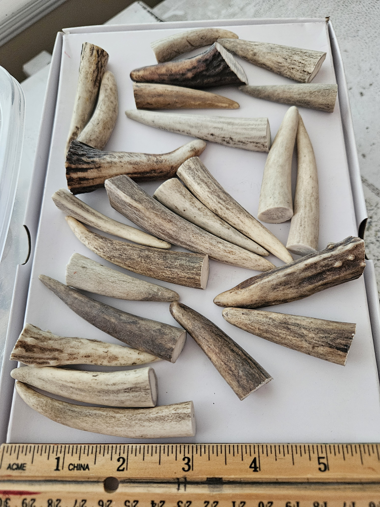 Real antler pendant/Art work - photo 2