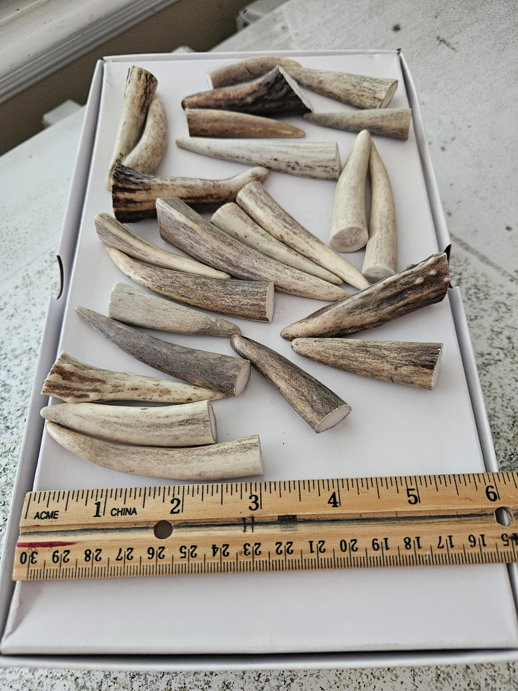 Real antler pendant/Art work - photo 3