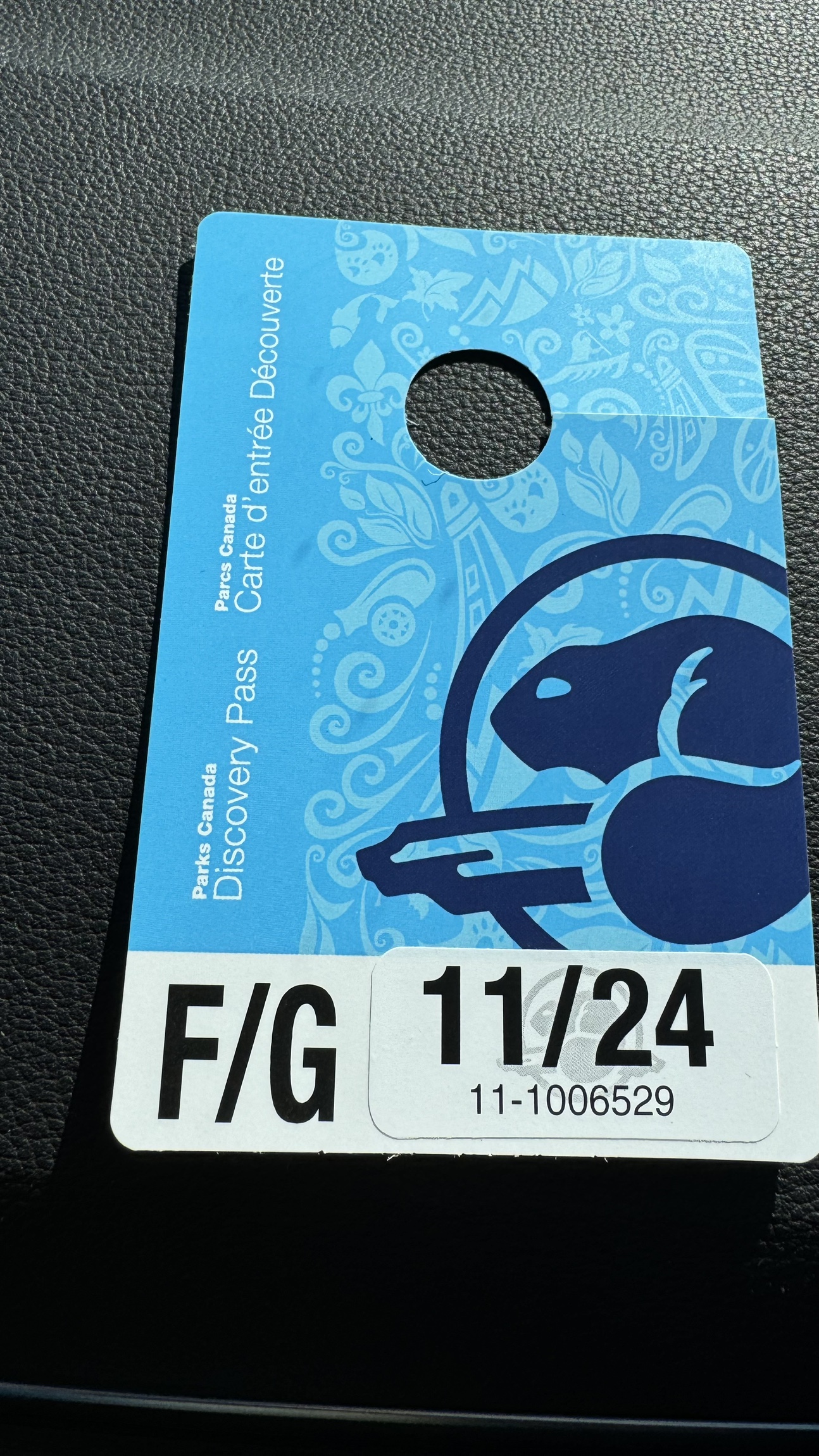 Discovery pass