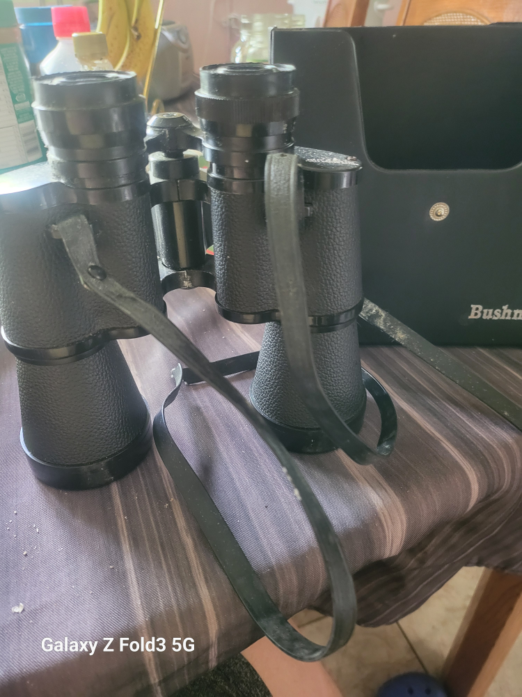 Bushnell 7x50 binoculars