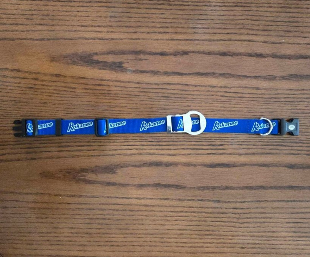 Dog Collar Kokanee Logo Blue - New W/O tags