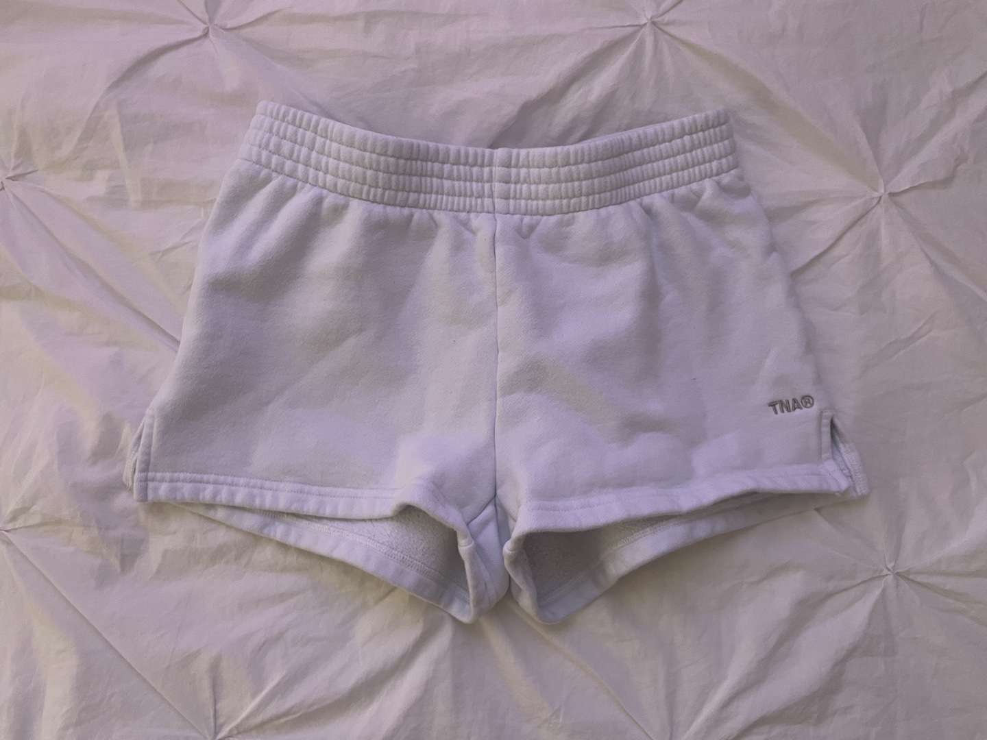 Tna Aritzia Sweatshorts