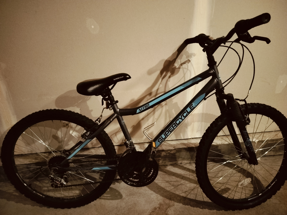 bike 24in