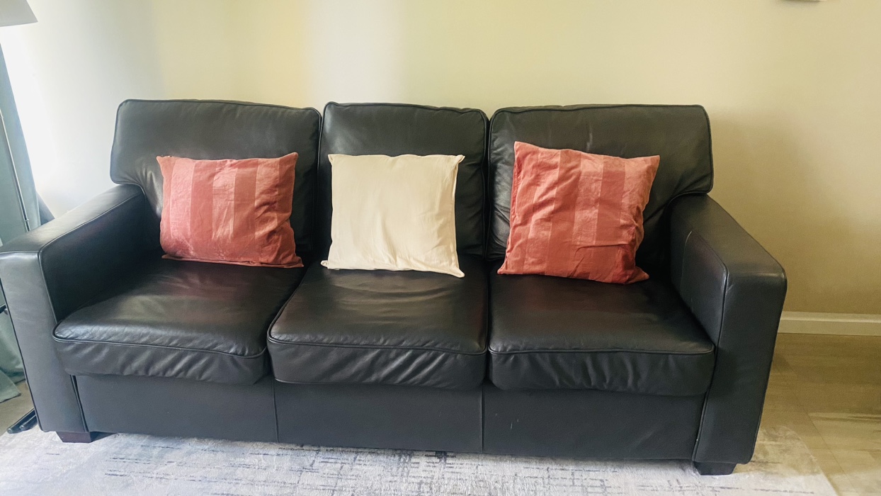 Pull out sofa bed