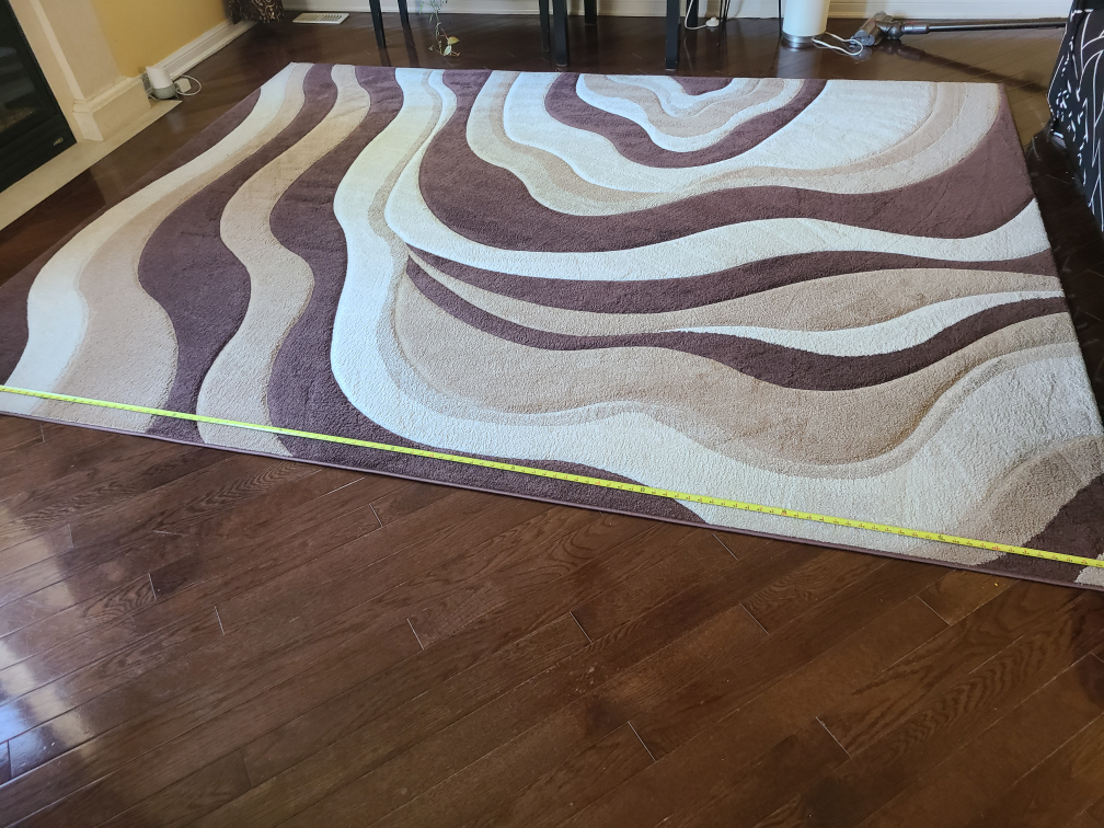 Area Rug - photo 3
