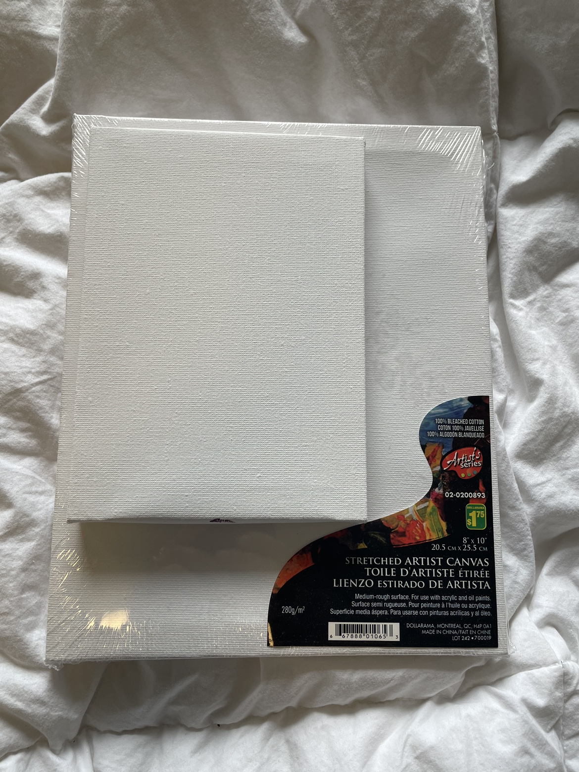 Two dollarama canvases thumbnail