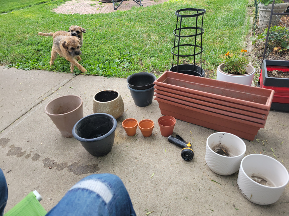 pots