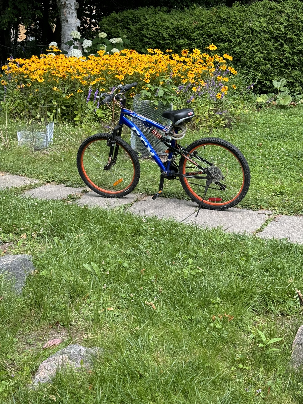 Bicycle - photo 2