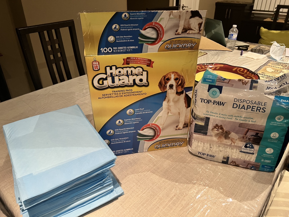 Small dog Disposable diapers. Pads are gone