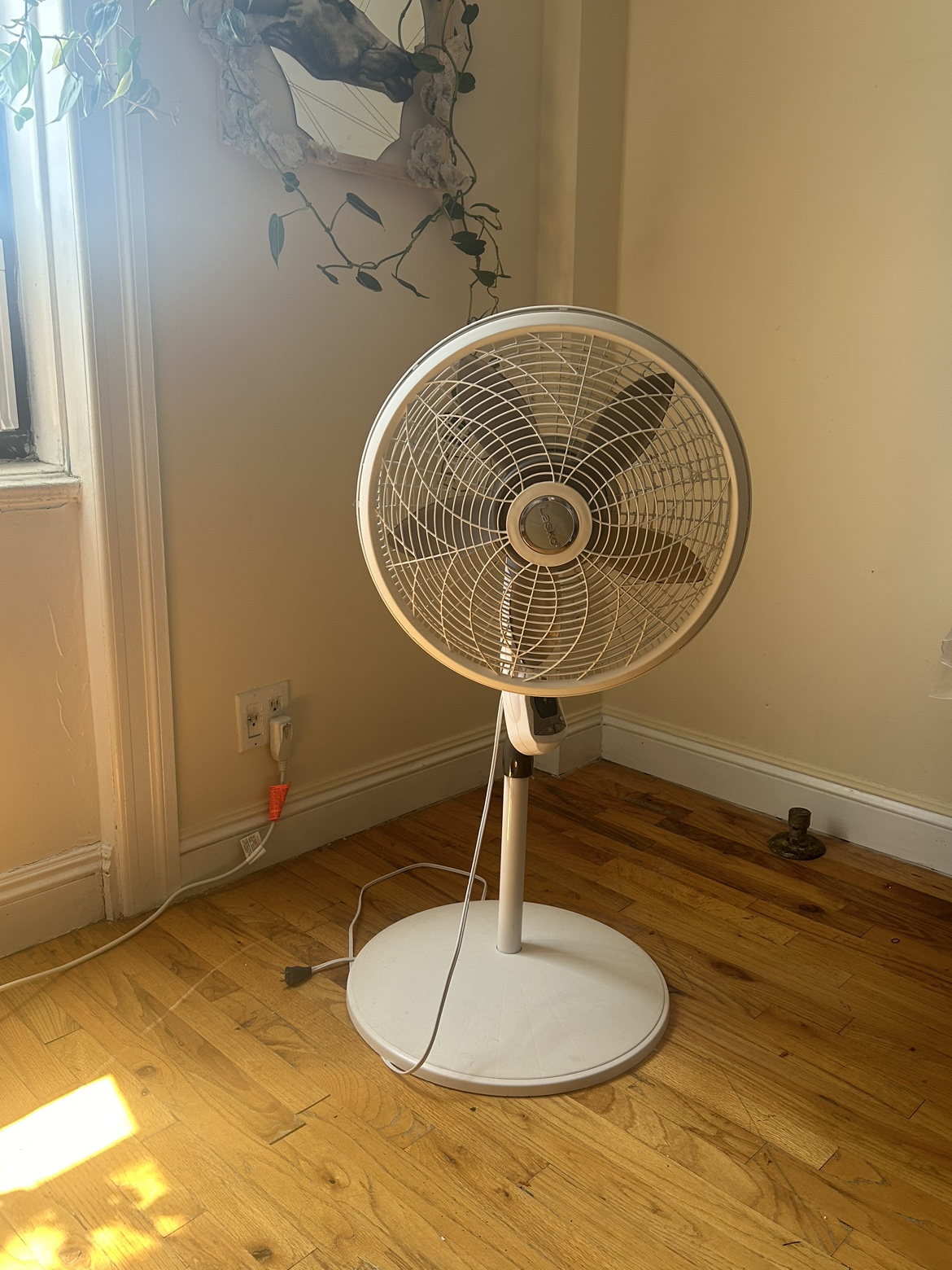 Large Lasko Rotating Floor Fan