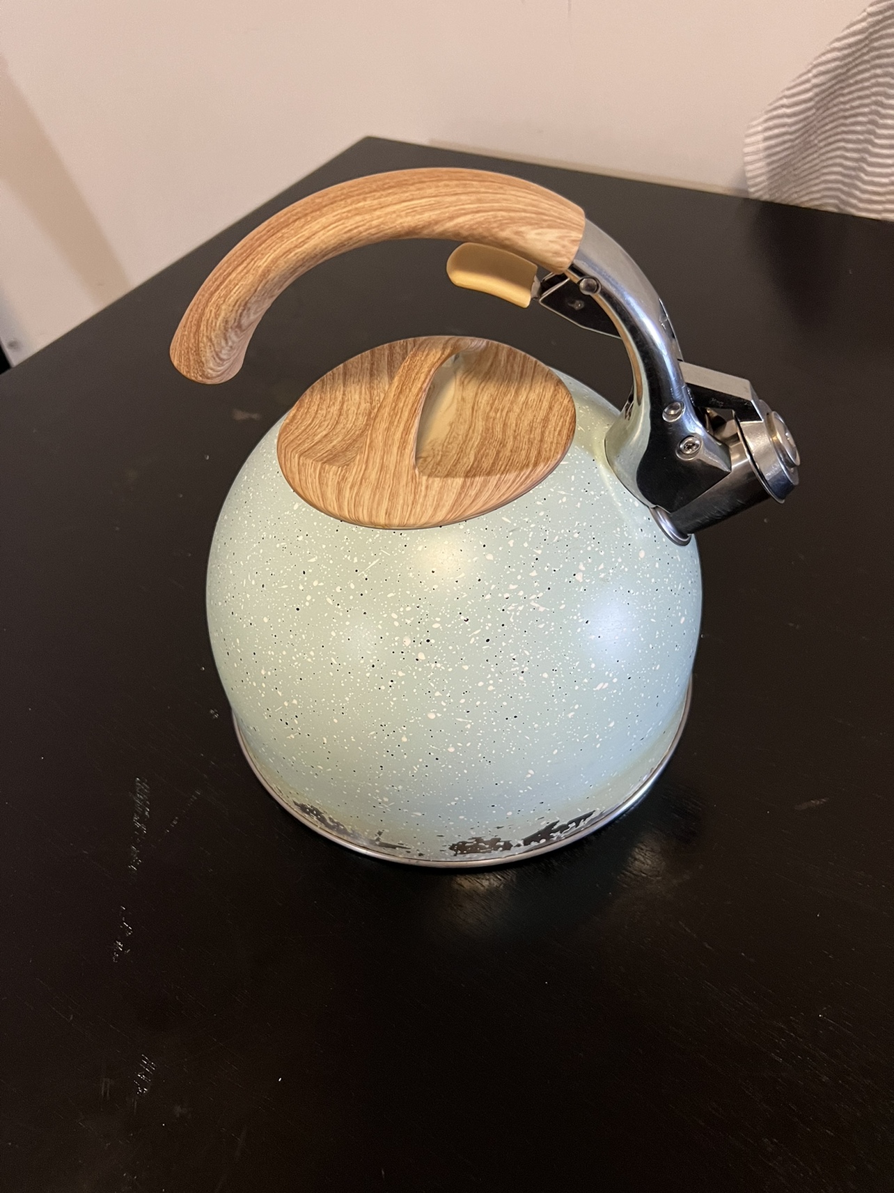 Stainless Steel Tea Kettles