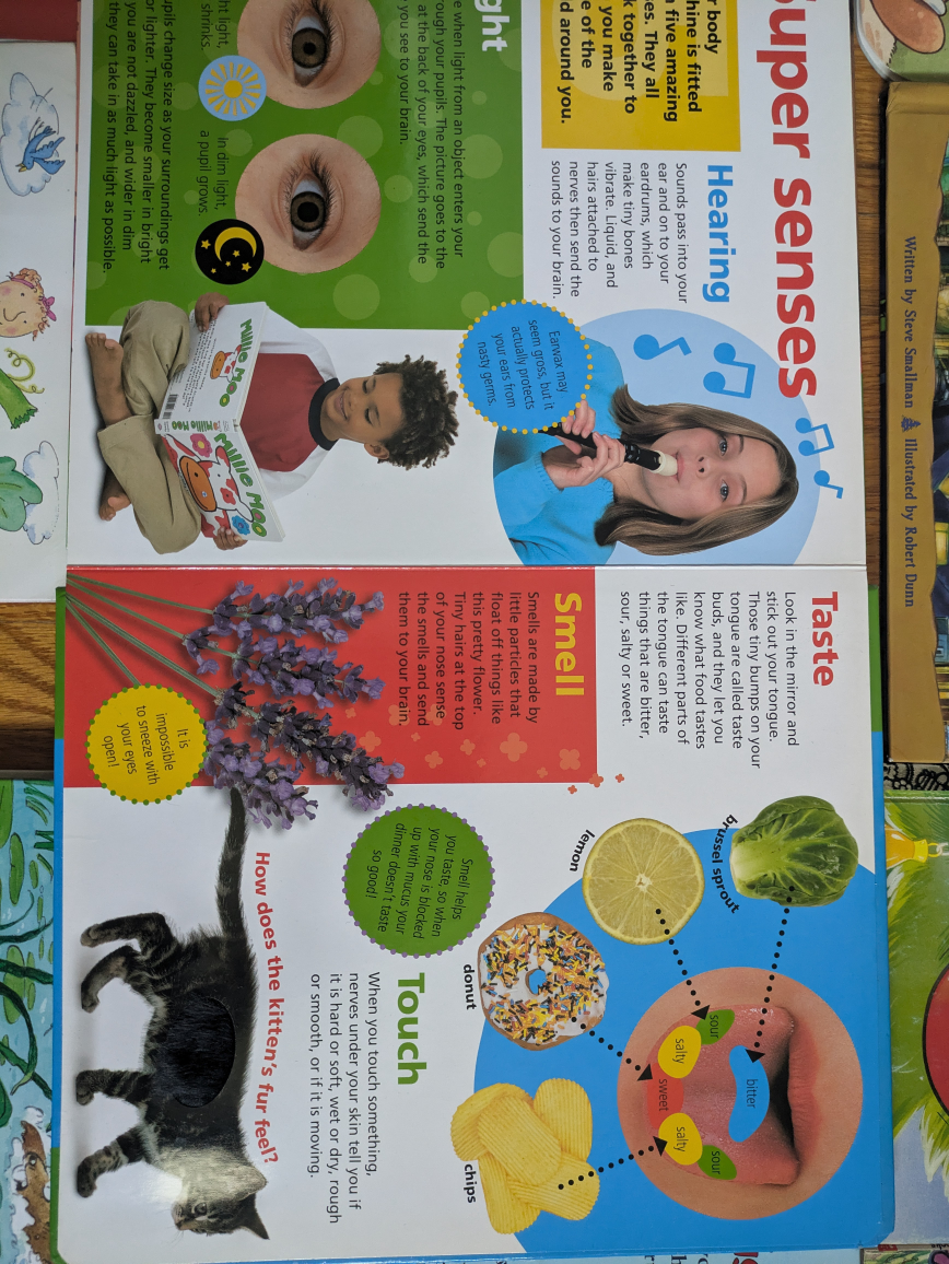 Children's Book Lot - photo 3
