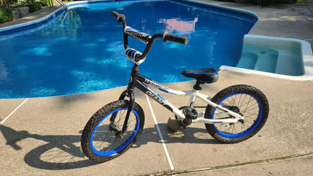 Giant Animator 16" Bike (Kids 4-6 yrs)
