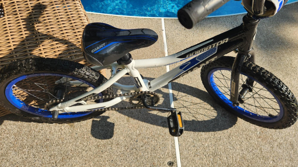 Giant Animator 16" Bike (Kids 4-6 yrs) - photo 5