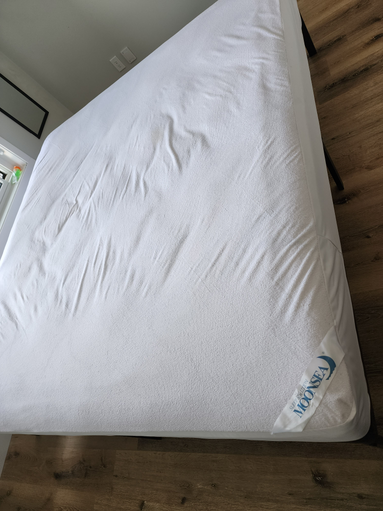 (Moving Sale) Kimg Size Mattress and Bed Frame ($220)