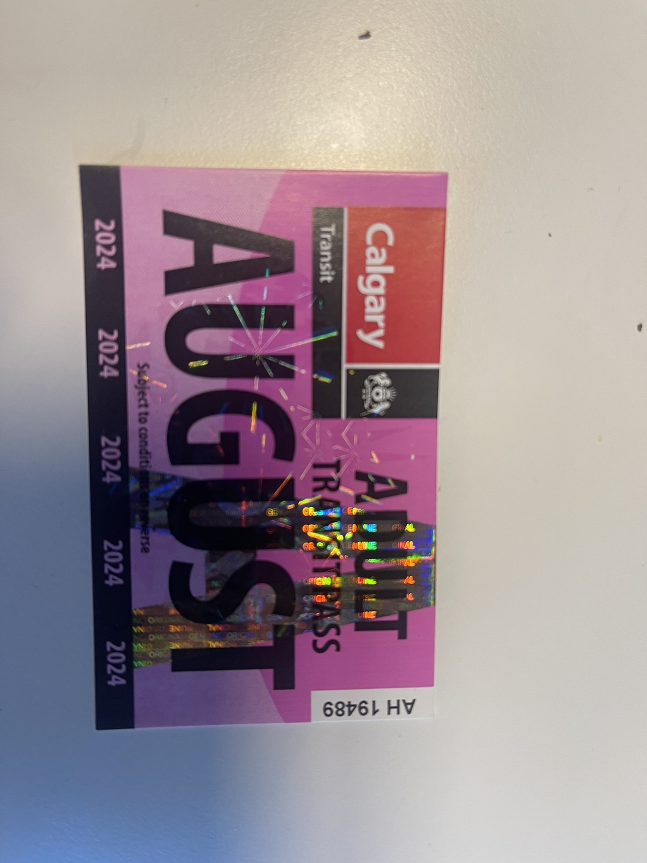 August transit pass
