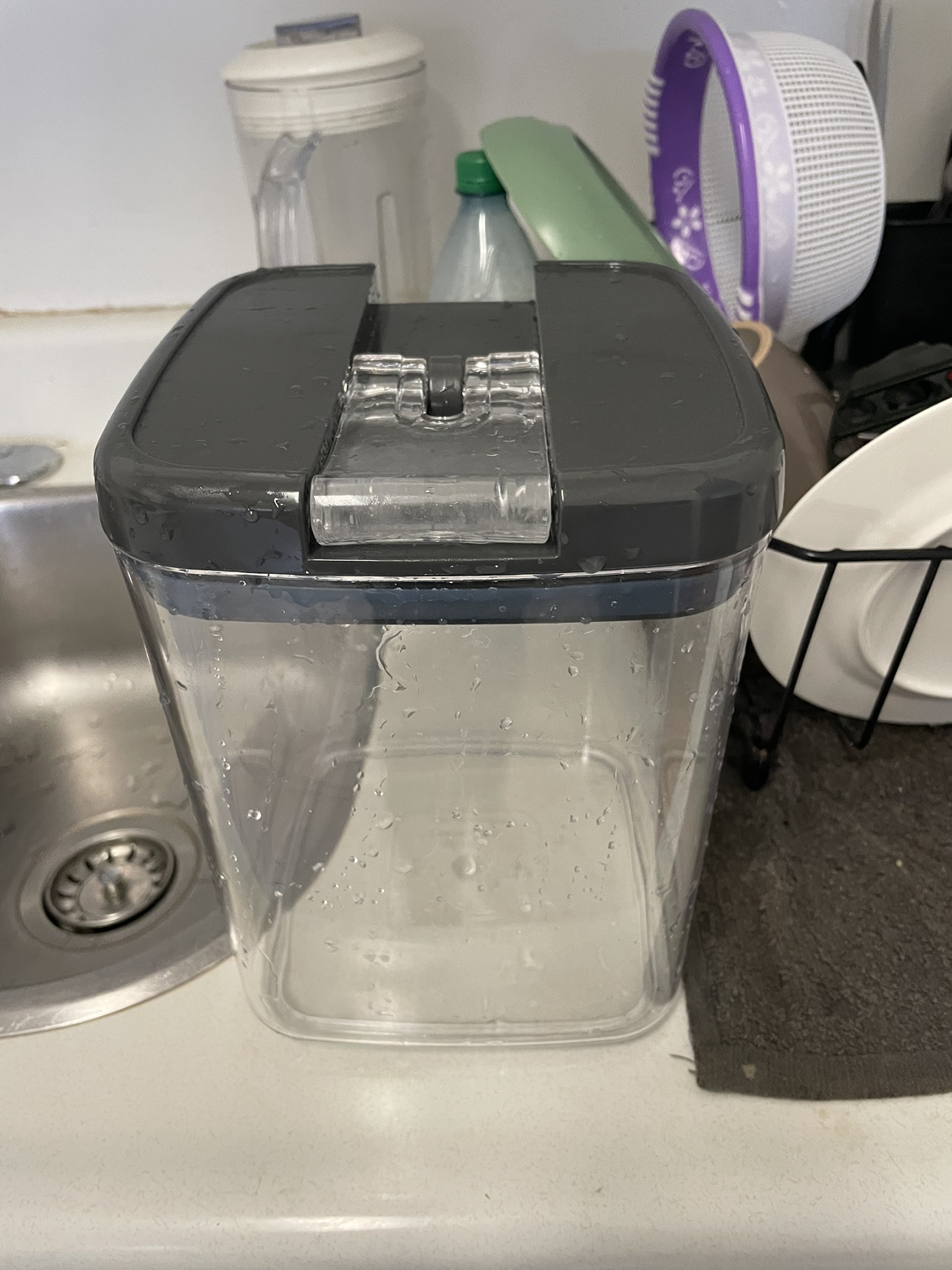 Rice/flour/sugar container