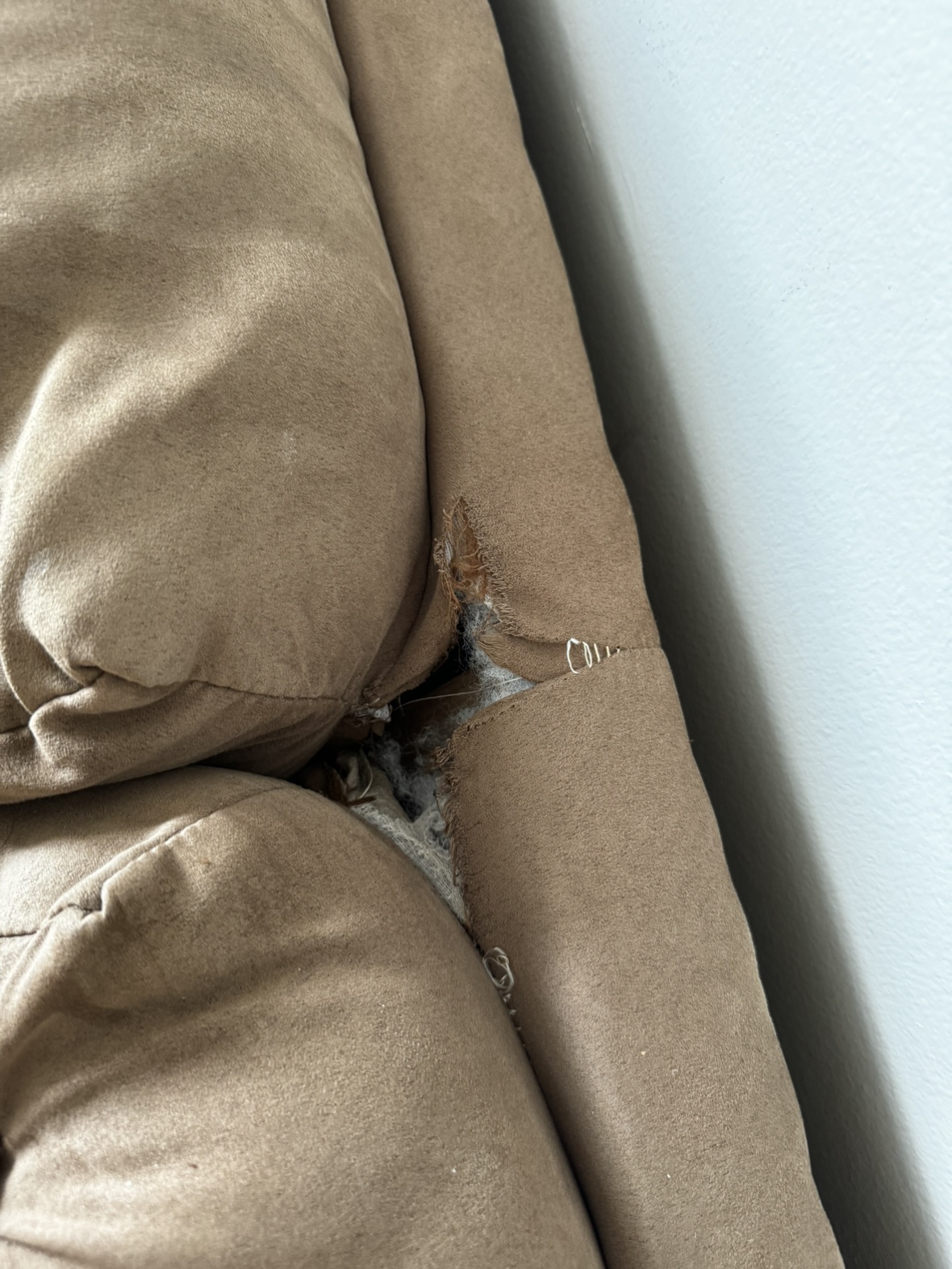 Furniture - photo 2