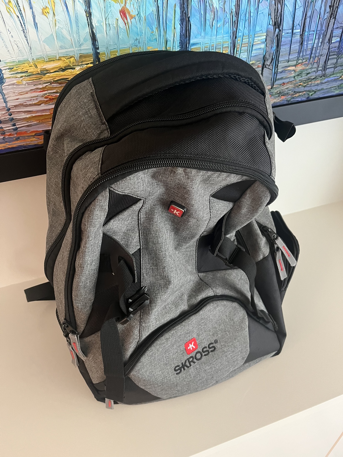 Skross back pack thumbnail