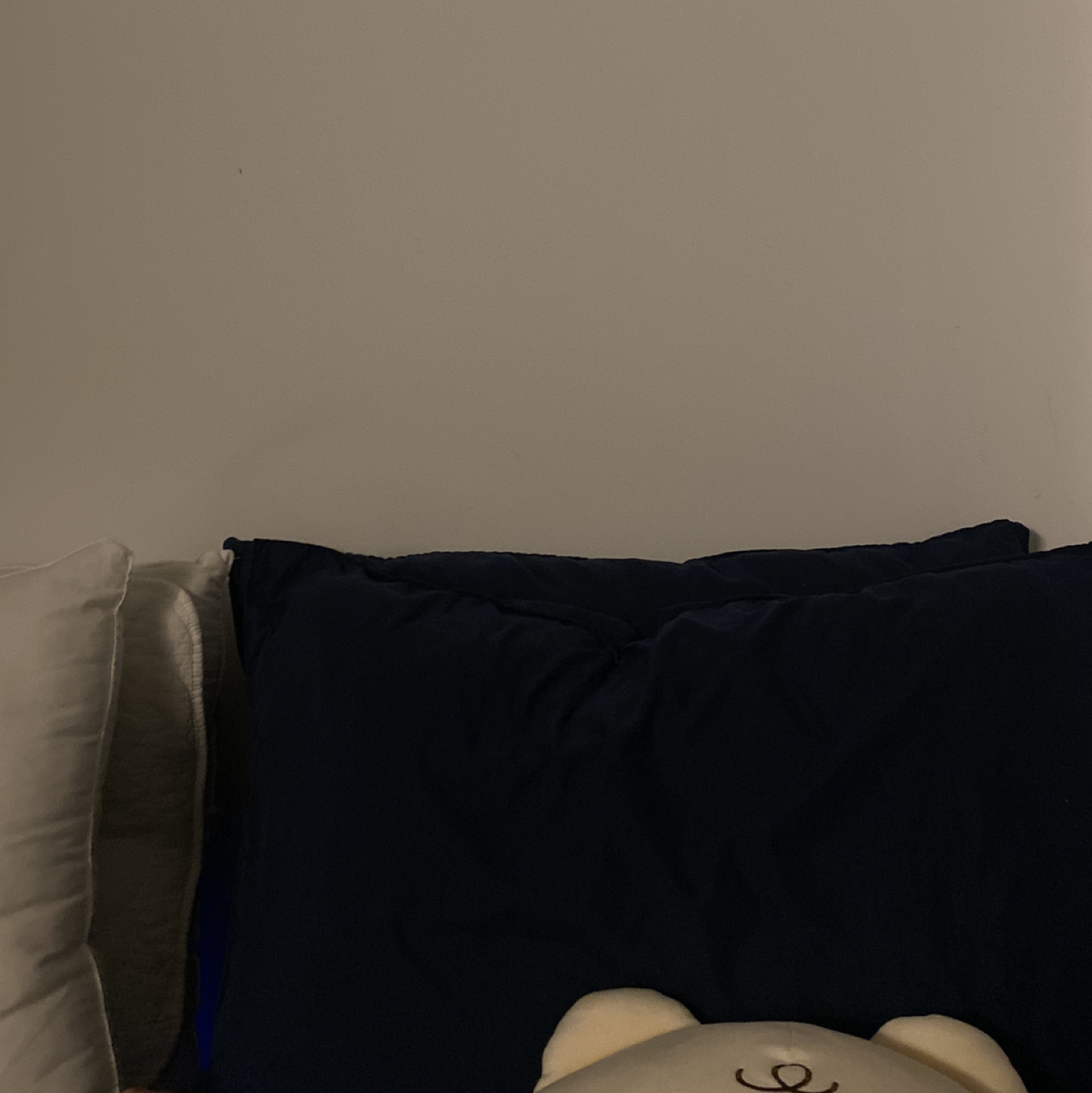 2 soft hotel pillows