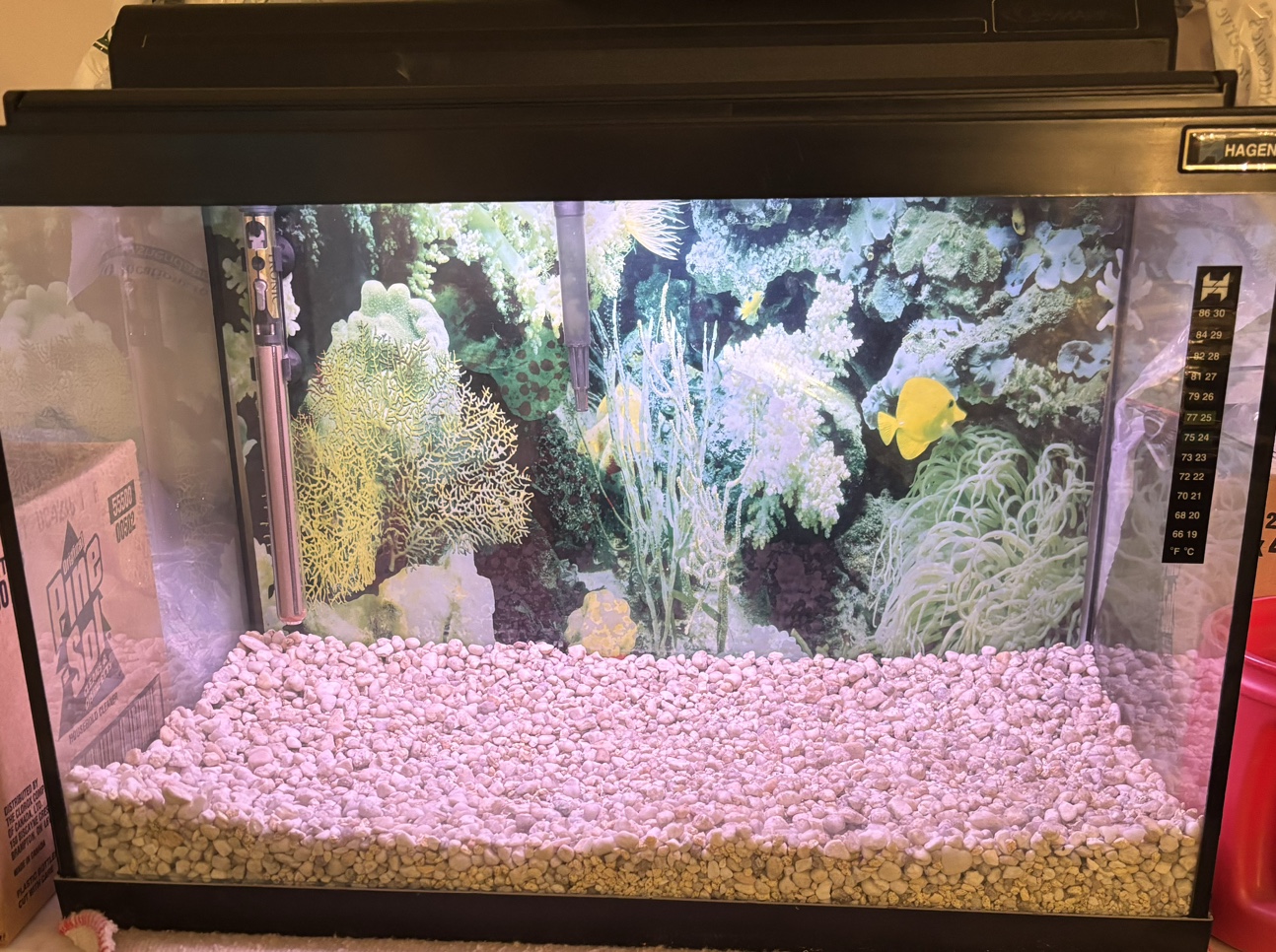 Hartz 20 gallon Fish tank image indicator(2)