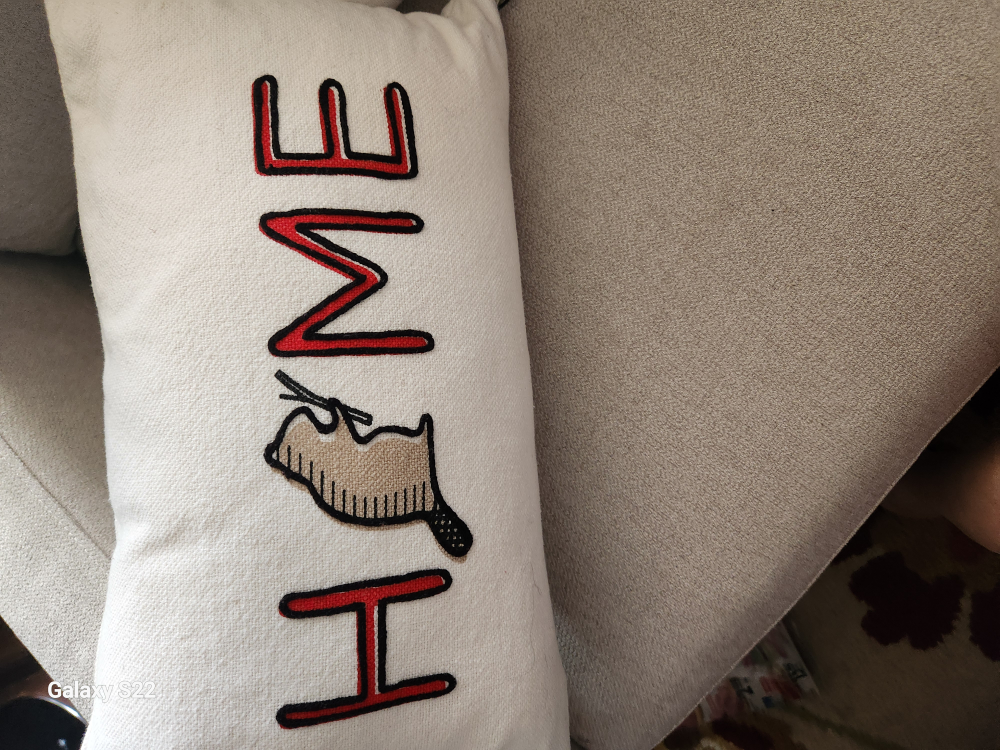 decorative polyester filled cushion image indicator(2)