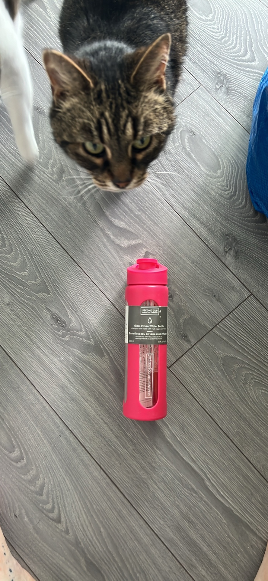Infuser glass bottle thumbnail