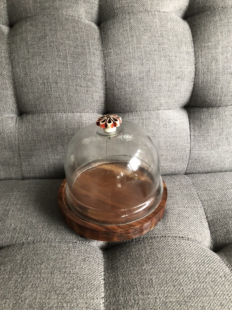 Brand New Display Dish - photo 2