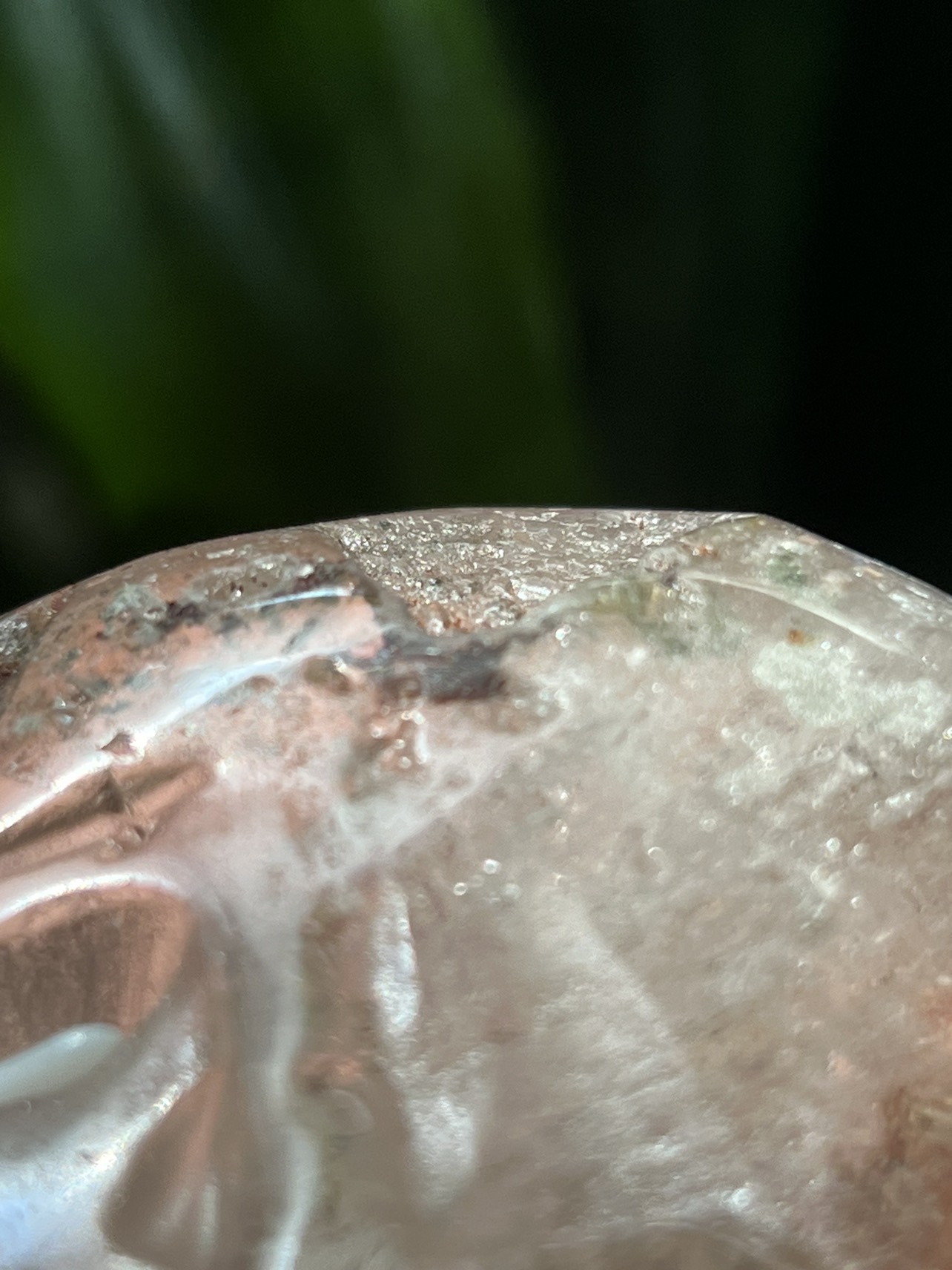 Garden quartz skull carving (J) | crystal image indicator(9)