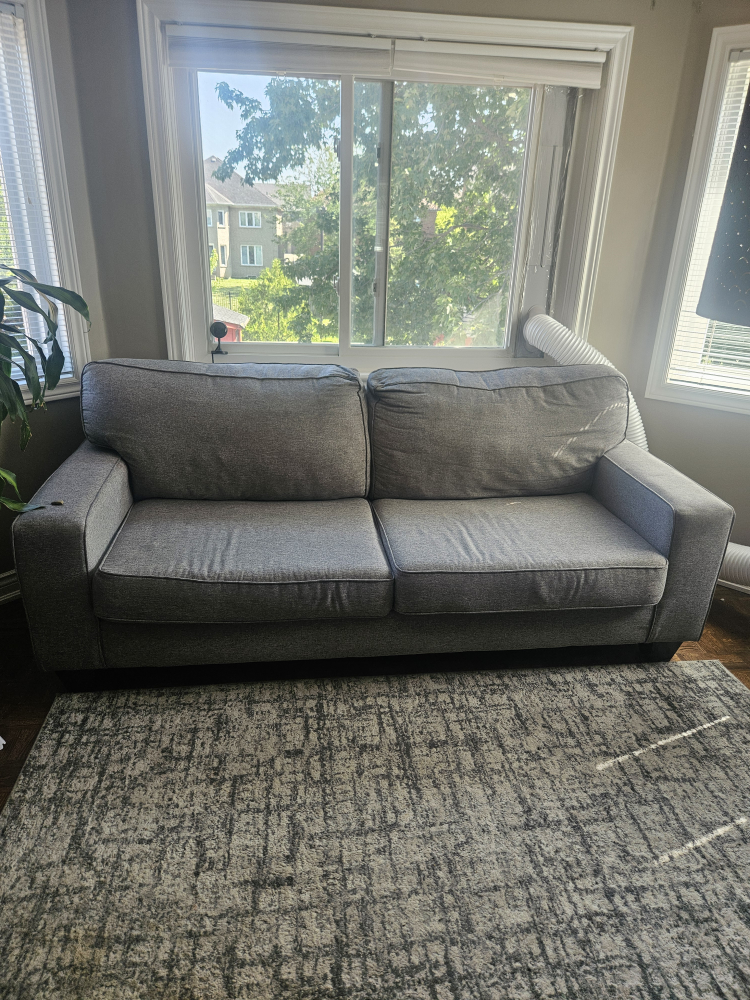 couch 2 seater - photo 3