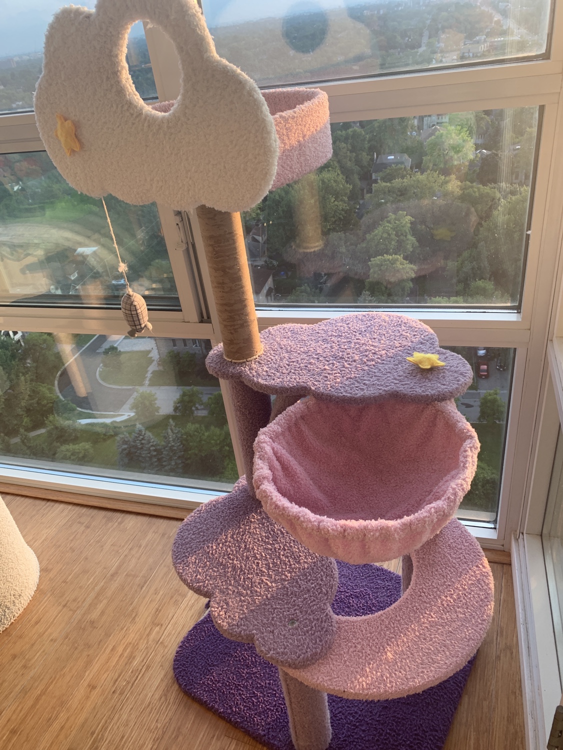 Cat tree image indicator(2)