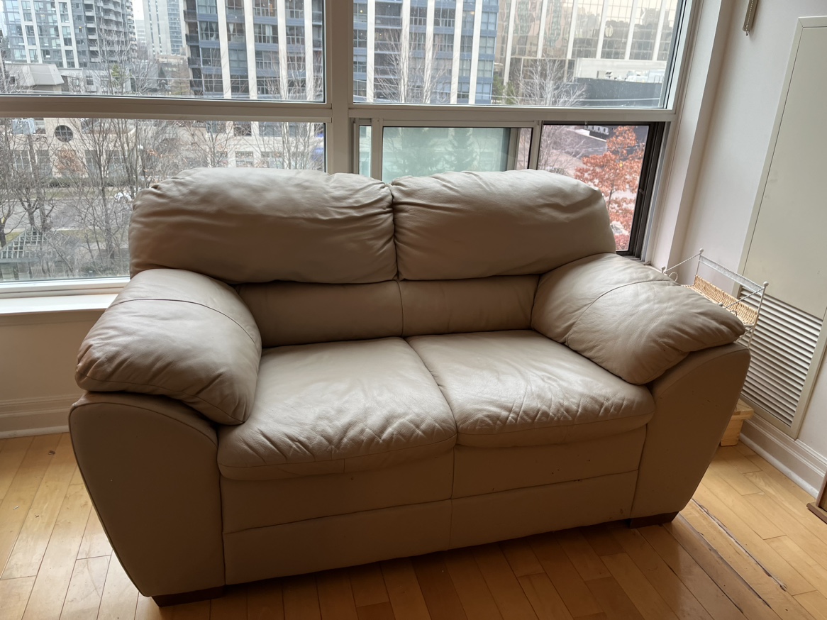 Leather love seat