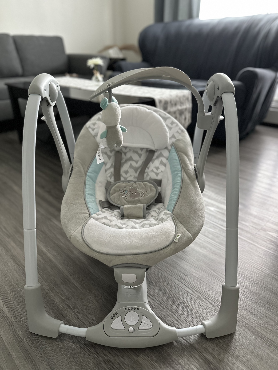 Baby Swing