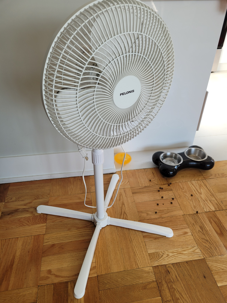 Floor fan (moving sale) - photo 3