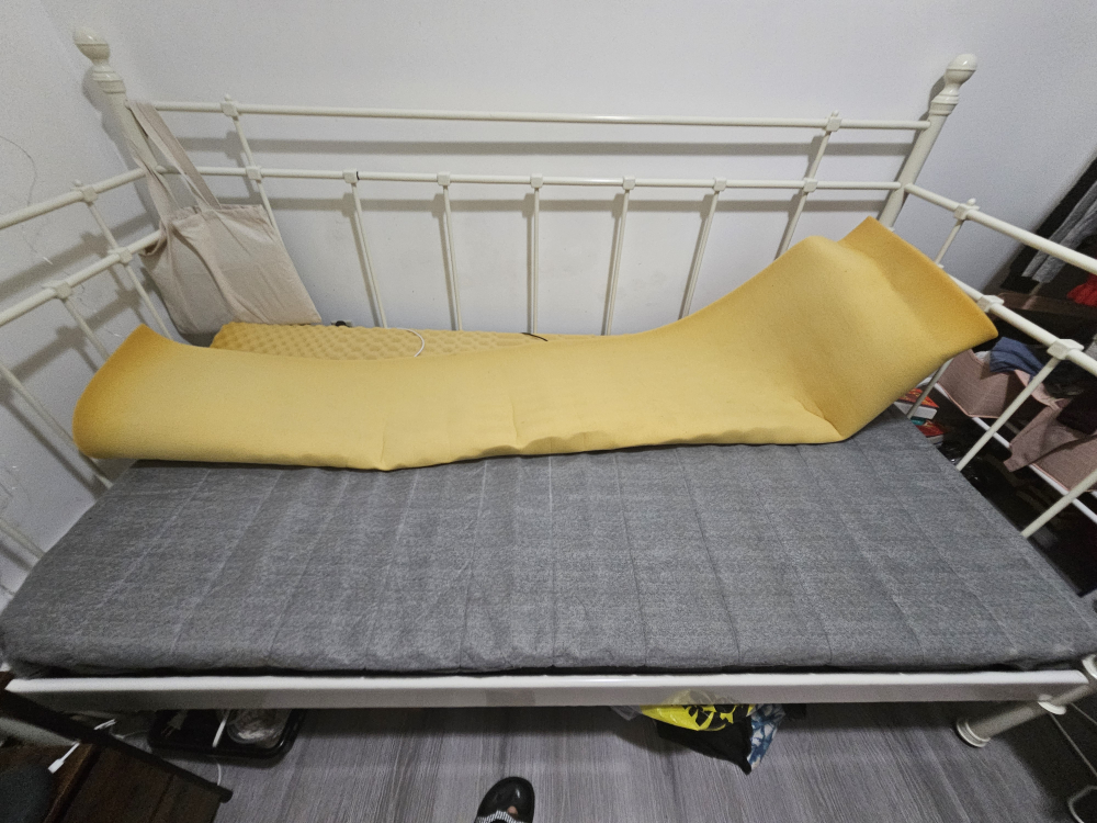 Twin Mattress with liner