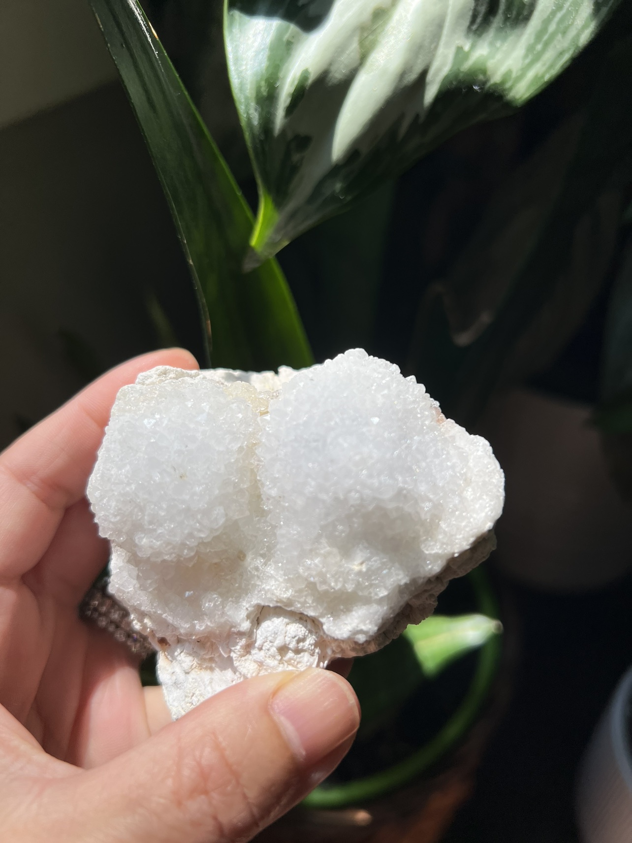 Clear quartz specimen (d) | crystal image indicator(2)