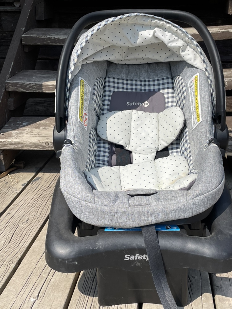 Newborn Stroller and Car Seat - photo 2
