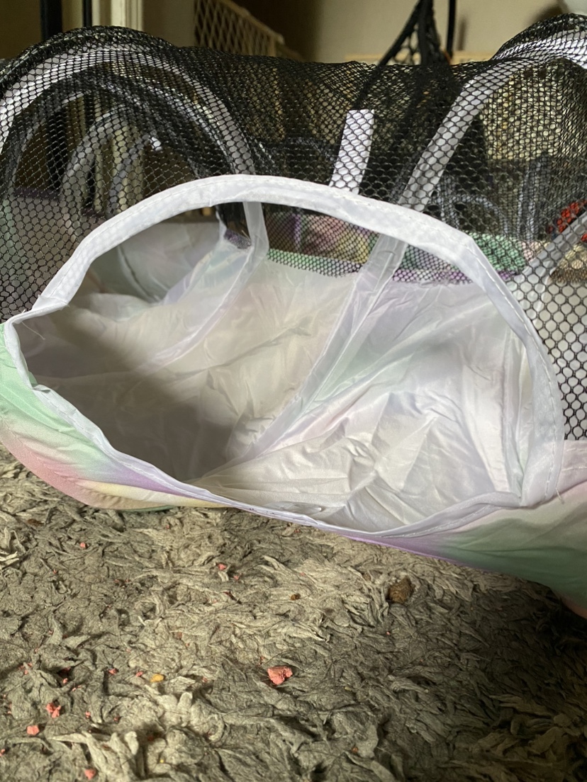 Cat tunnels image indicator(4)