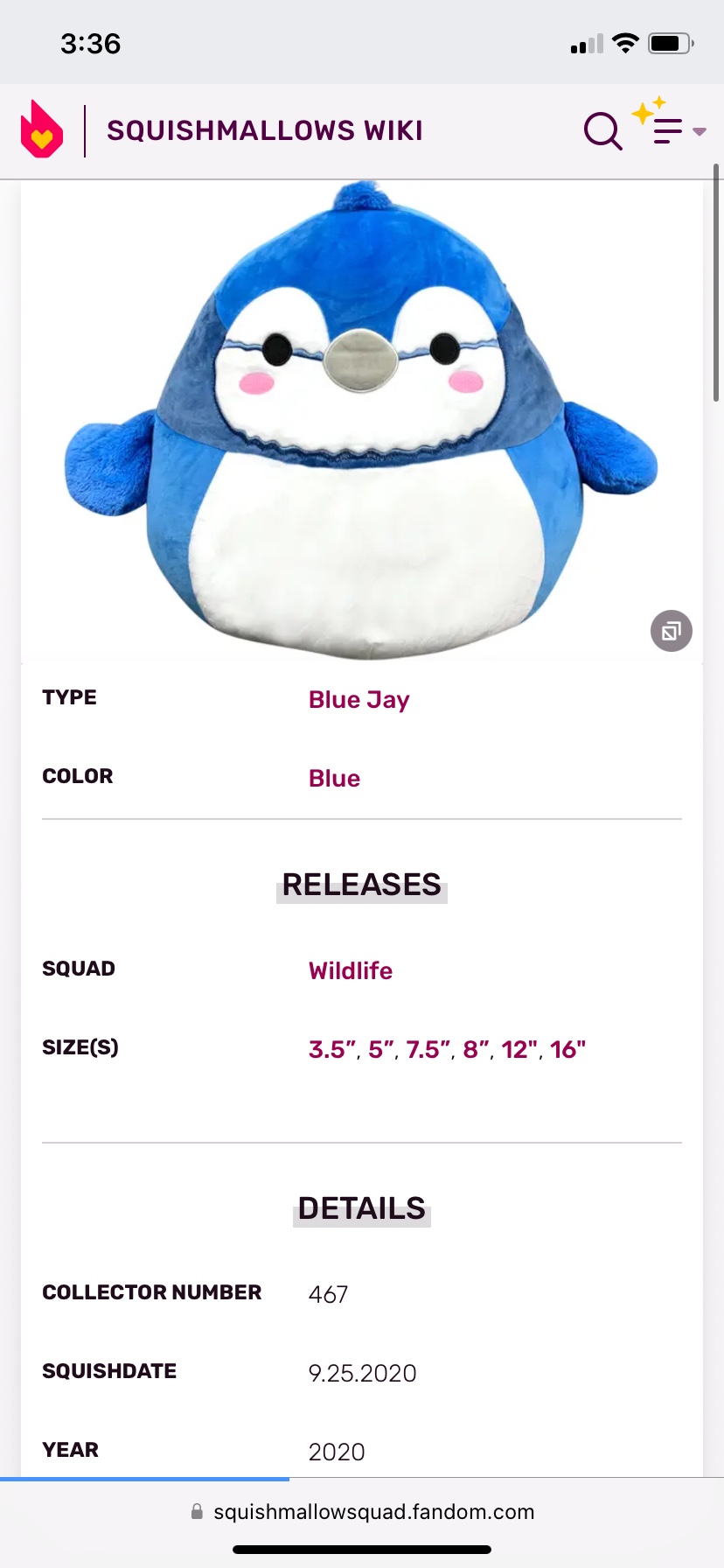 Babs the Blue Jay 16” Squishmallow image indicator(4)