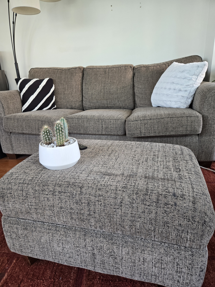 Comfy Grey Couch