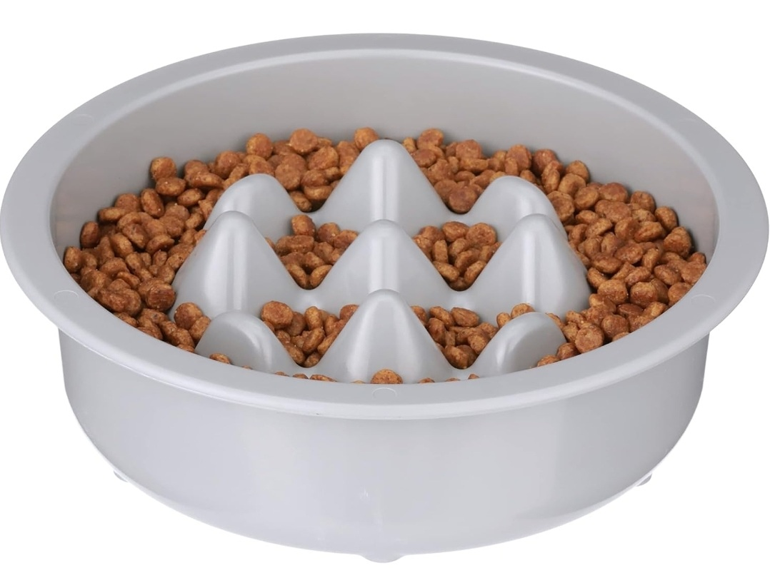 Slow Feeder Bowl thumbnail