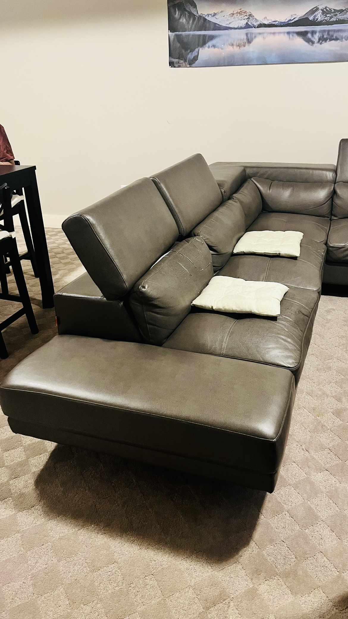 Pure Leather Sectional Couch - photo 2