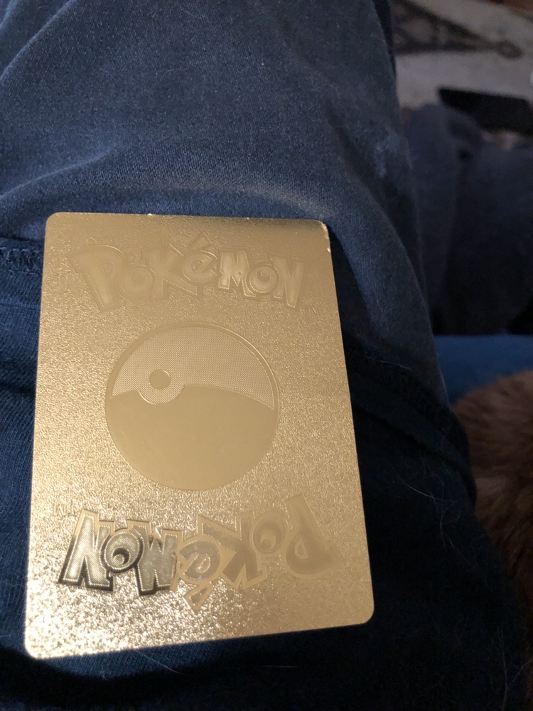 The Pokémon - photo 2