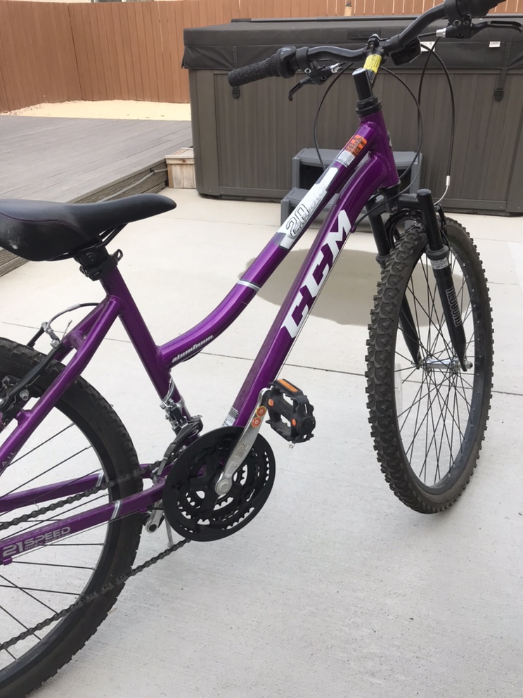 Mountain Bike - photo 3
