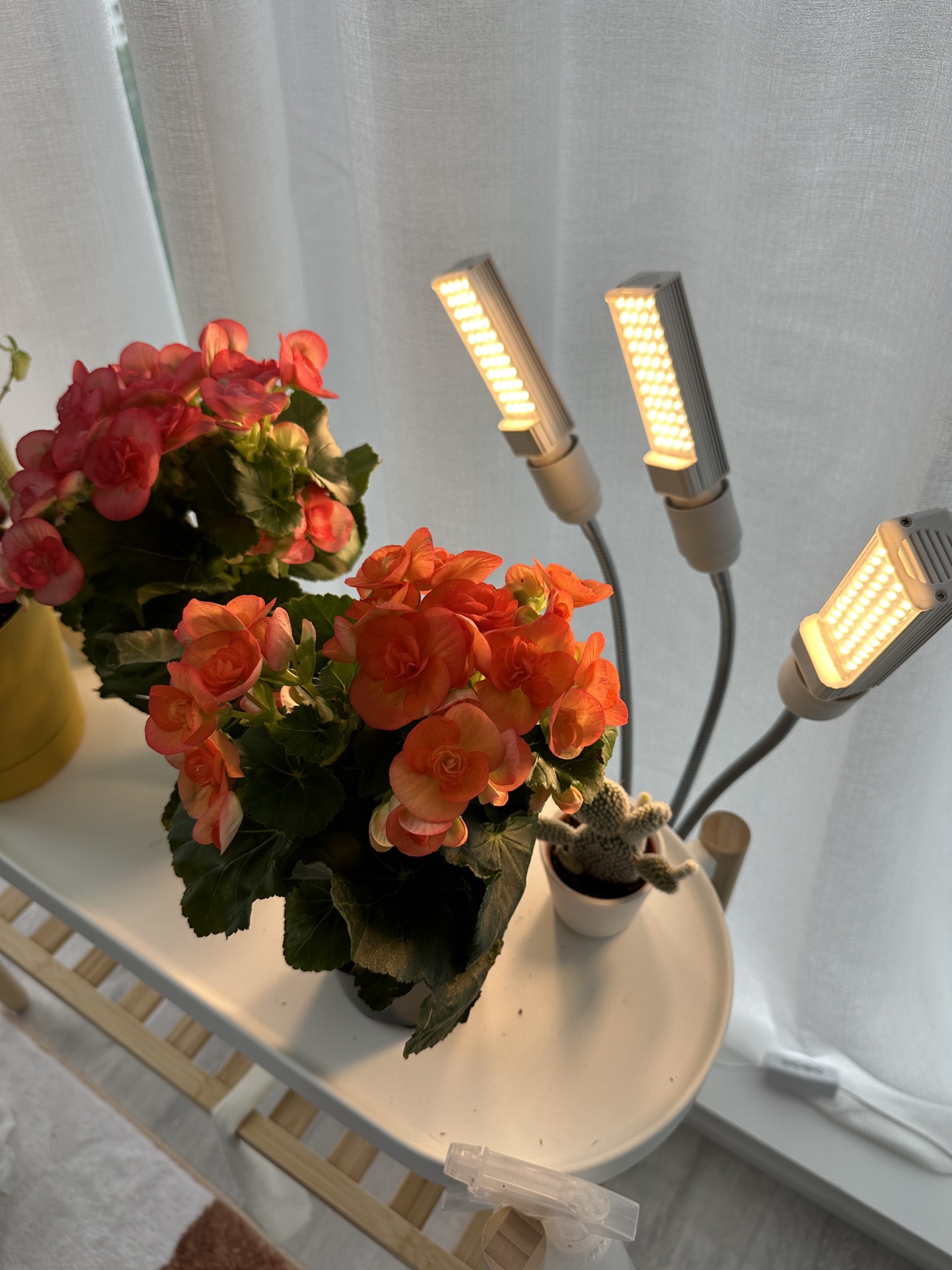 LED Grow Light for Plants ⚽️ - photo 5