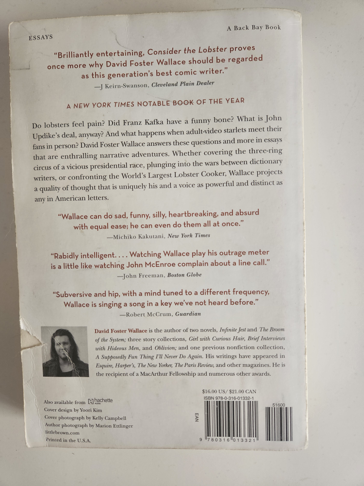 Consider the Lobster essays by David Foster Wallace #freecycle - photo 2